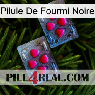 Black Ant Pill 14